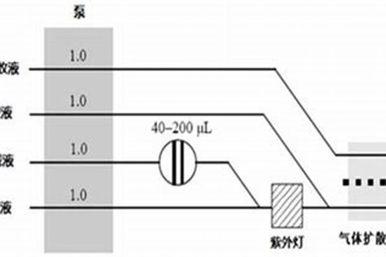 铃兰一年只开花一次吗？