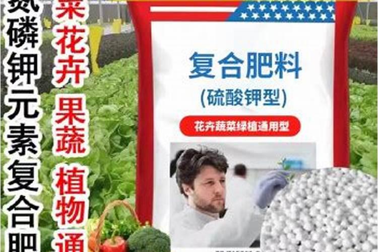 农作物肥料在什么时间最好