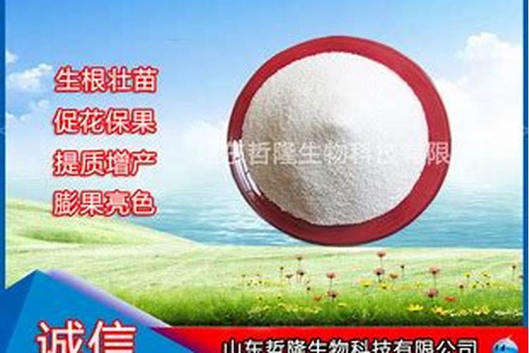 中药材人参打什么叶面肥？中药材人参追肥用什么肥料好？