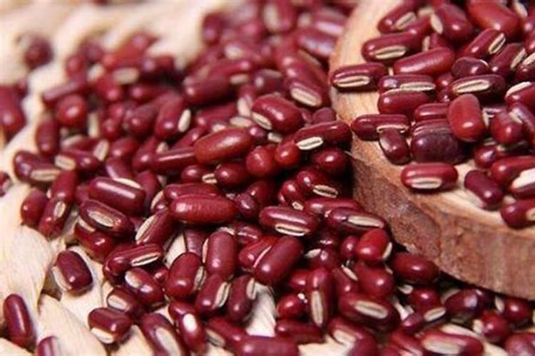 种植40亩沙糖桔要投资多少成本