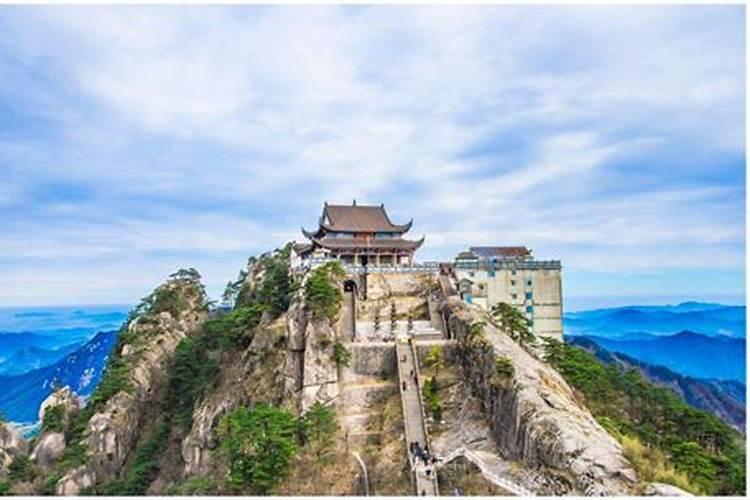 就种植前景而言,沃柑沙糖桔哪个前景更好？