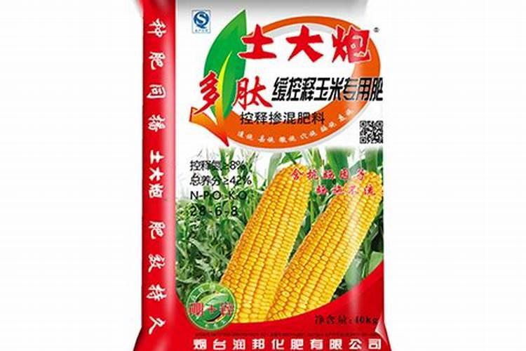 西瓜移栽注意事项