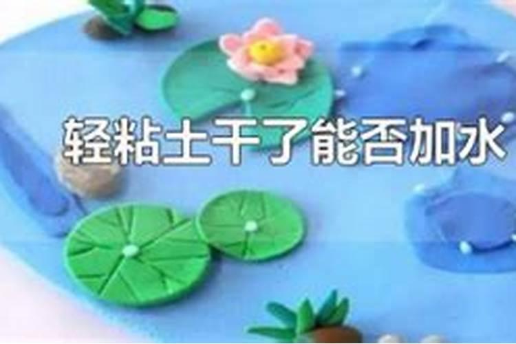 新开荒地种什么好