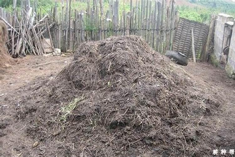 糖是天然的防腐剂吗