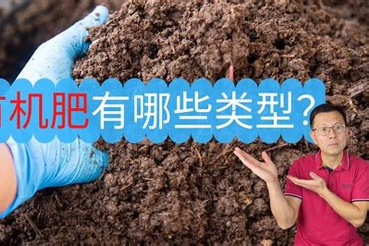 追施有机肥有哪些