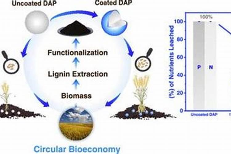 种植土豆用什么肥料最好