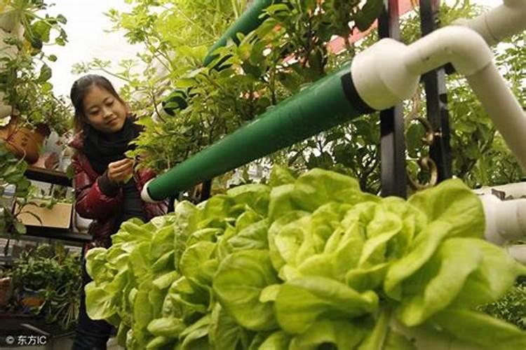 牛磺酸含量高的食物 哪些食物牛磺酸含量高