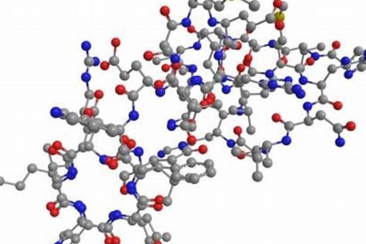 西红柿结果期施什么肥