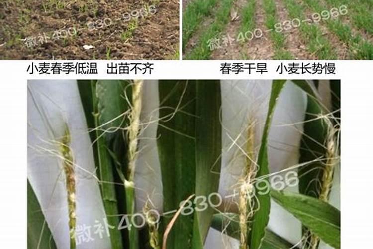 1公斤车用尿素大概有多少升