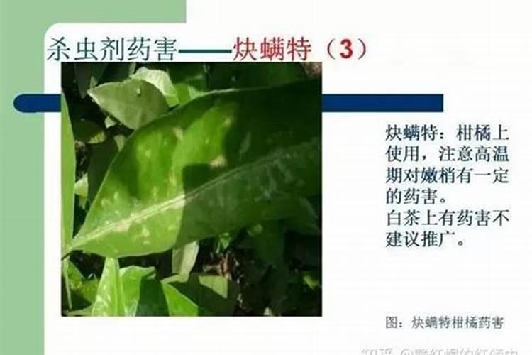 氮肥和磷酸二氢钾能一起用吗