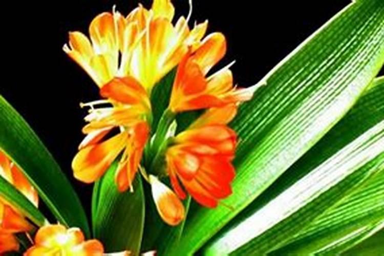 实验室石灰石制取碳酸钙的方法