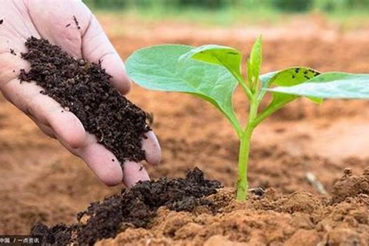 氮肥和磷酸二氢钾能一起用吗