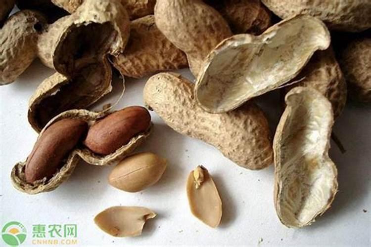 花生壳被焚烧后会产生怎样的用途呀？