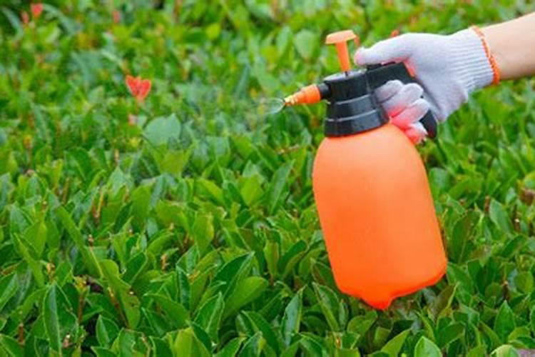 怎样简单辨别钾肥的真假与好坏？