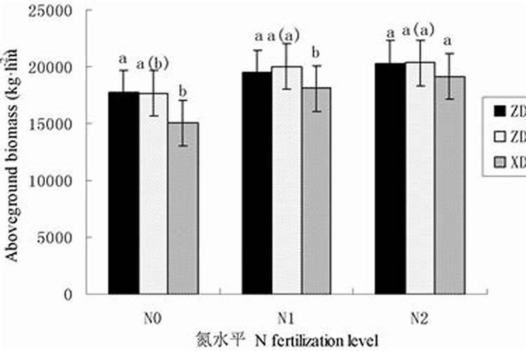肥城桃子最正宗三个地方