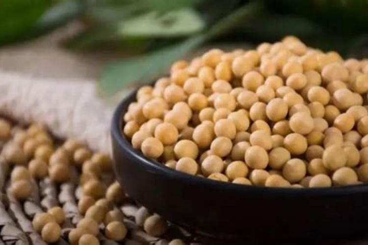 一斤黄豆顶几斤鸡粪