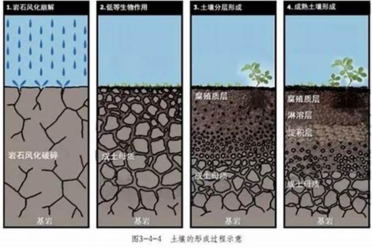 白菜可以用磷肥吗