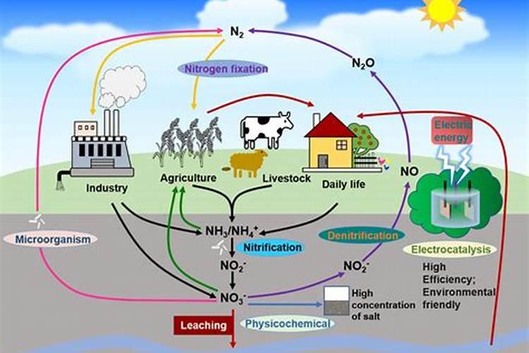 硝酸盐有什么用途