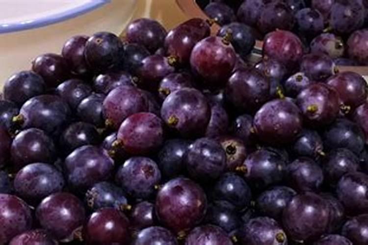 葡萄树上用红糖液可以作叶面肥吗？