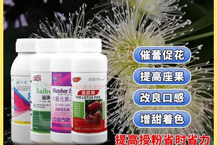 催花用什么肥料好怎么施？