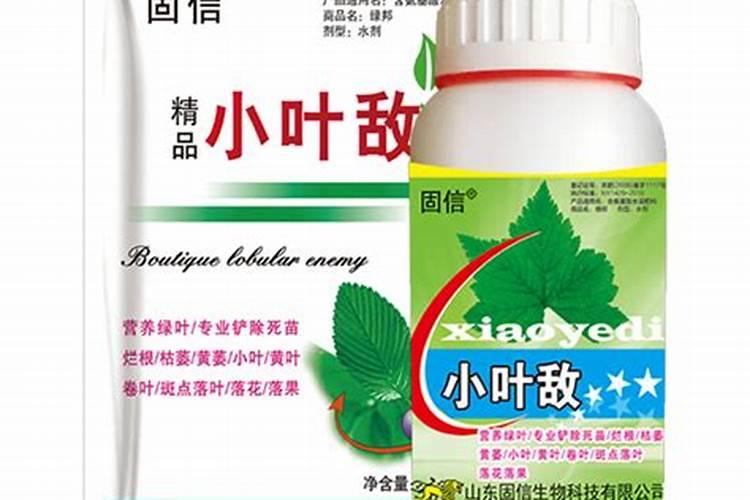 叶面肥什么时候打效果好