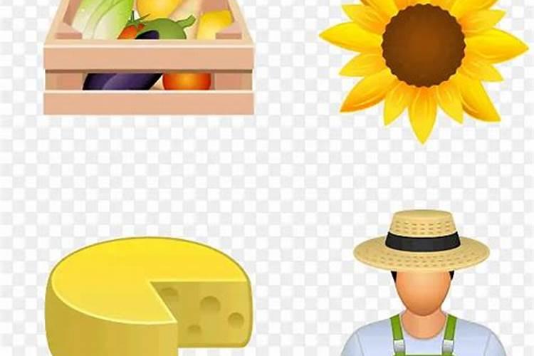 甜菜追钾肥能控制叶片徒长吗？