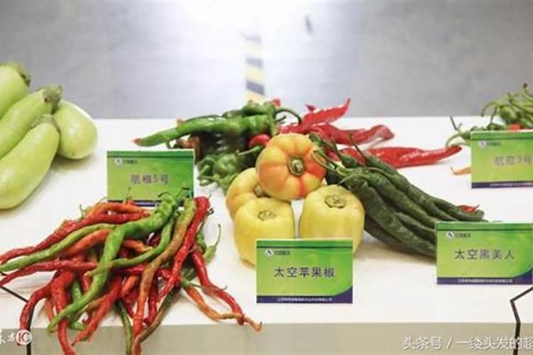 预防太空椒畸形果的方法