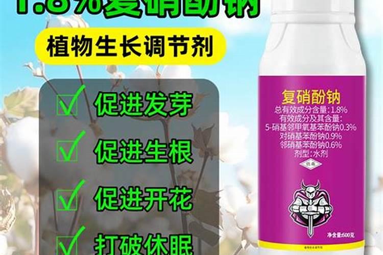 大头菜施肥用什么肥料