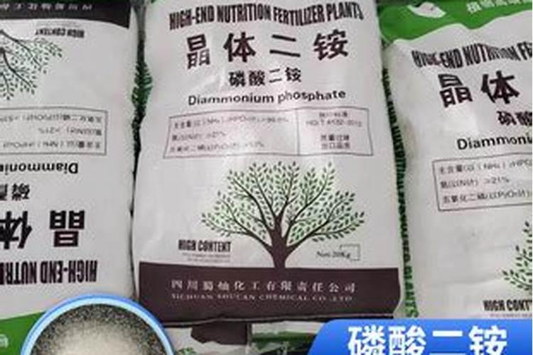 草莓栽完后怎样管结果枝多？