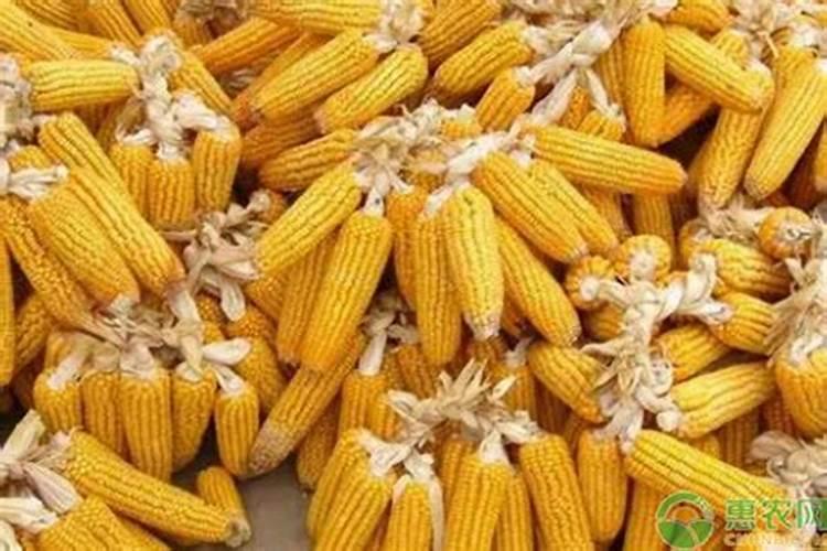 红四方玉米专用复合肥多少钱一吨？