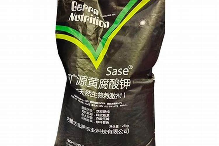 生菜可以五月种吗,什么时候是种生菜最合适