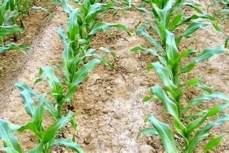 氯化钙溶于水吗