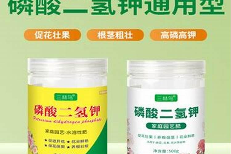 草莓开花后如何施肥