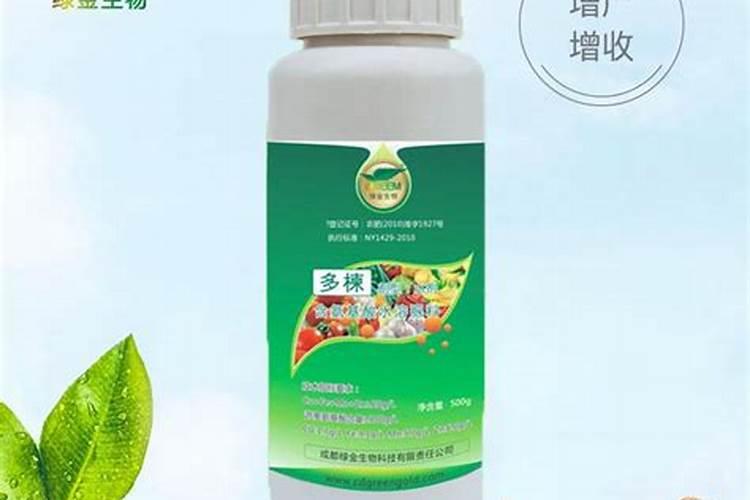 柑橘膨果期用什么肥料好？膨果期追肥用什么肥？柑橘专用叶面肥!