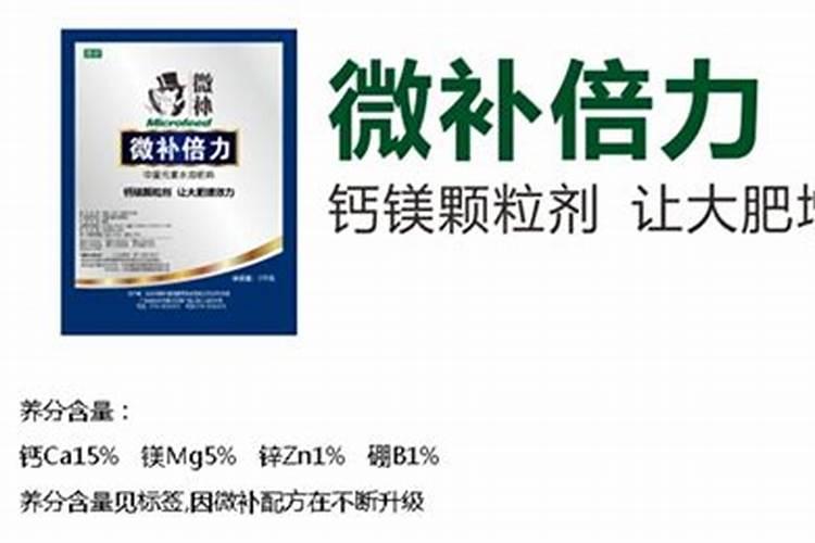 什么肥能促进茶叶树生长