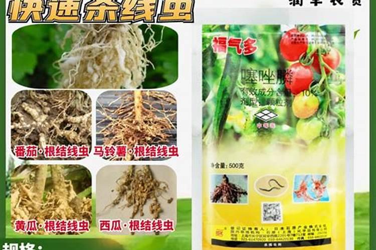 黄豆是开花期间打药还是开过花以后打药好？