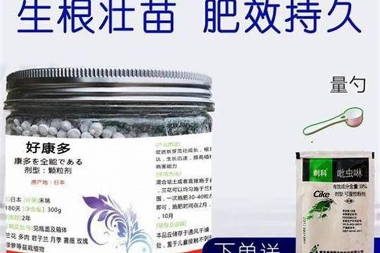 白兰花用什么肥料最好(白兰花怎么施肥长得快开花多)