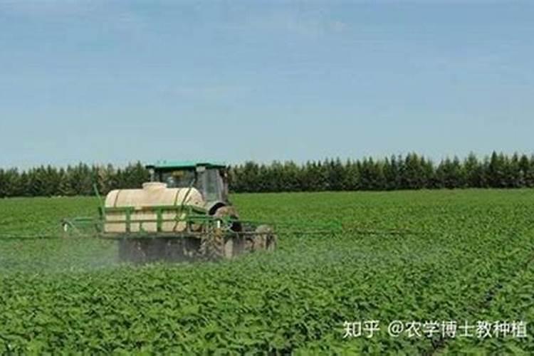 如何用大豆追肥