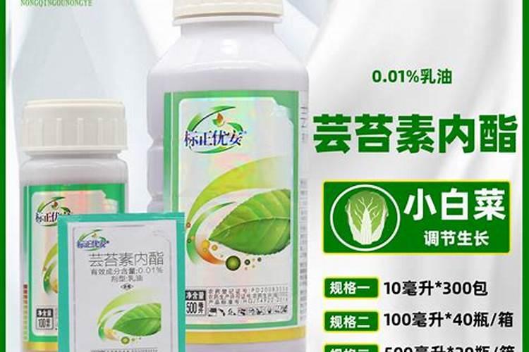 芸苔素对植物生长有什么作用？