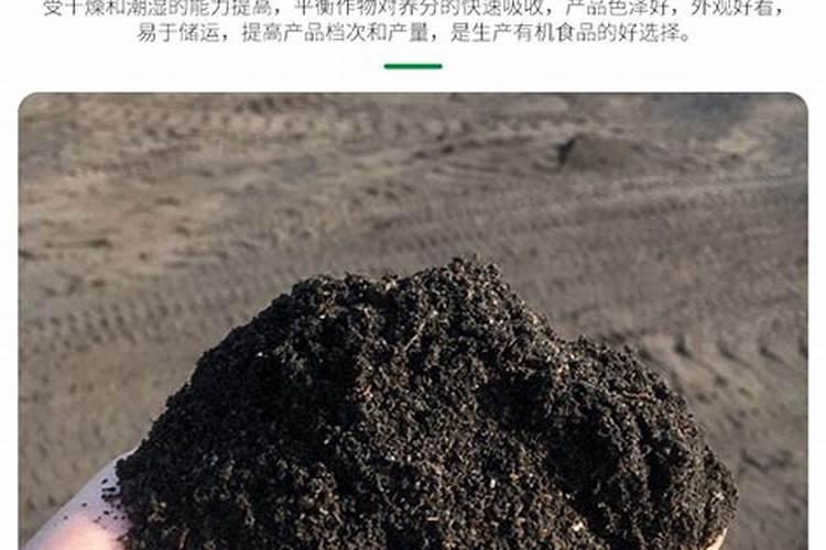 棉花高产施肥技巧