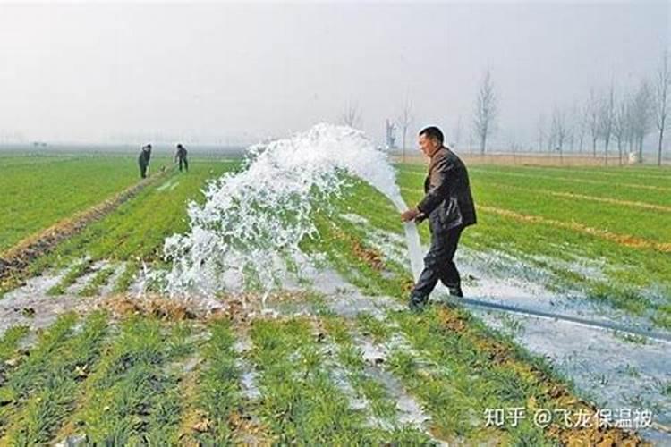 玉米抽穗以后怎么能喷雾药呢