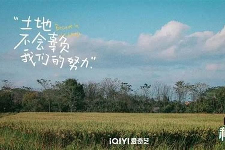 h30十水一袋多少钱