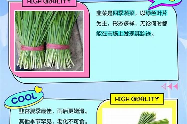 韭菜黄叶根系不好,是什么原因？用什么药？