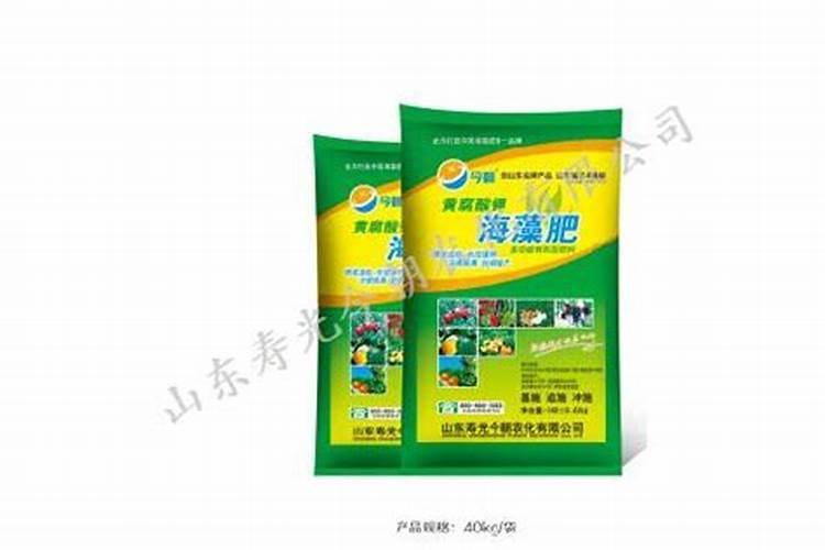 藿香树多久浇水