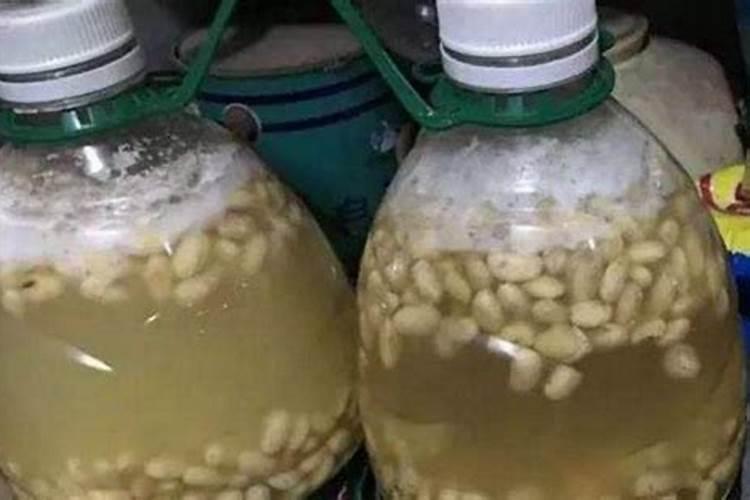 什么农作物用叶面肥最好呢