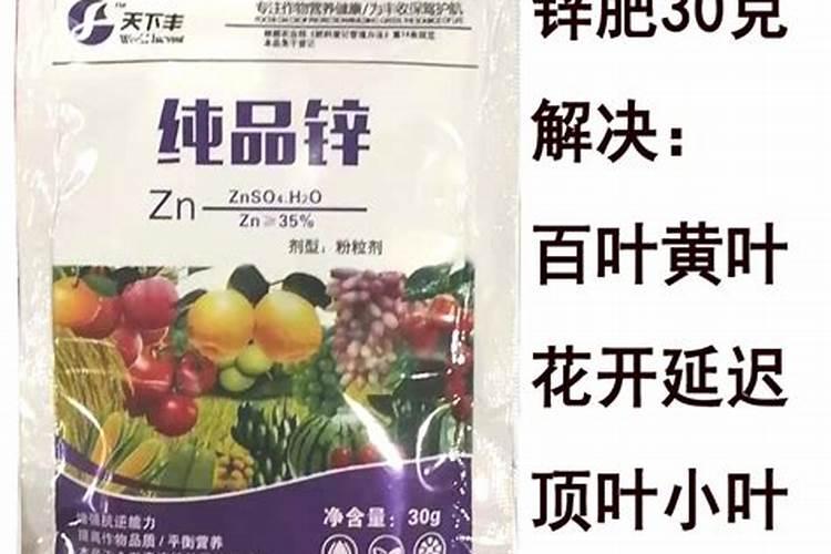 茄子后期呃用锌硼二氢钾叶面肥好不好
