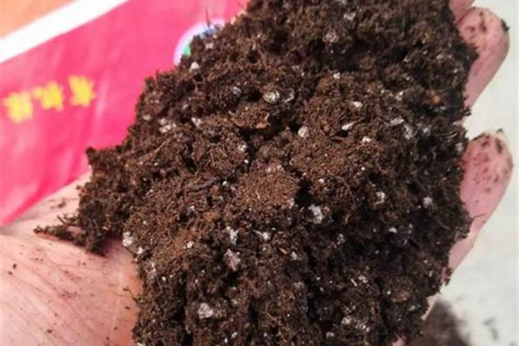 交城县东龙肥业有限公司怎么样？