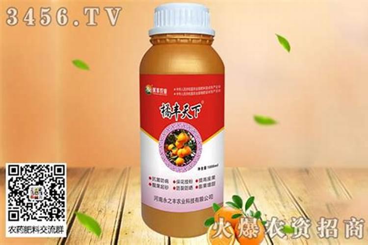 沃柑全年12个月管理及技术,沃柑产地集中在哪里