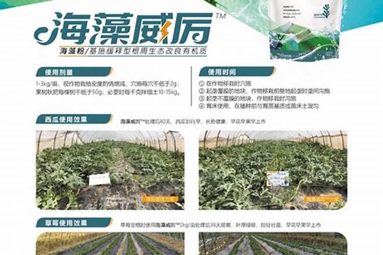 0.004羟基芸苔素田菜幼苗喷雾亩用量多少克