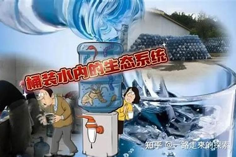 多肉能喷水在叶子上吗